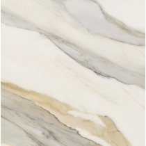 EXPANSE - 23X23 DYN, CATALA GOLD, GRIP